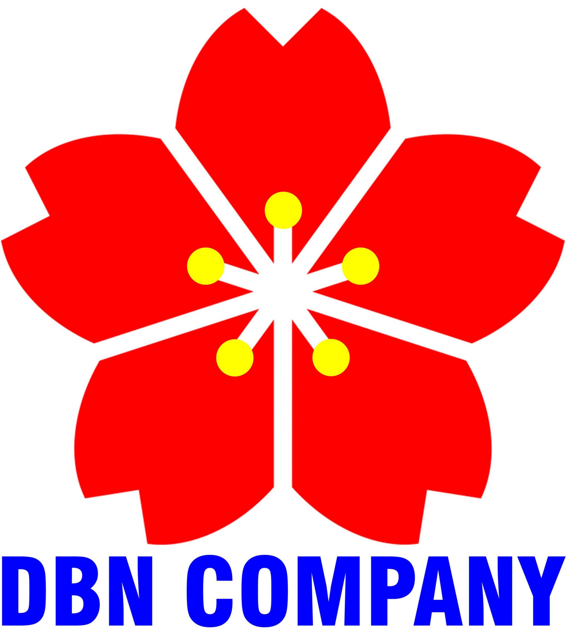 dbn company